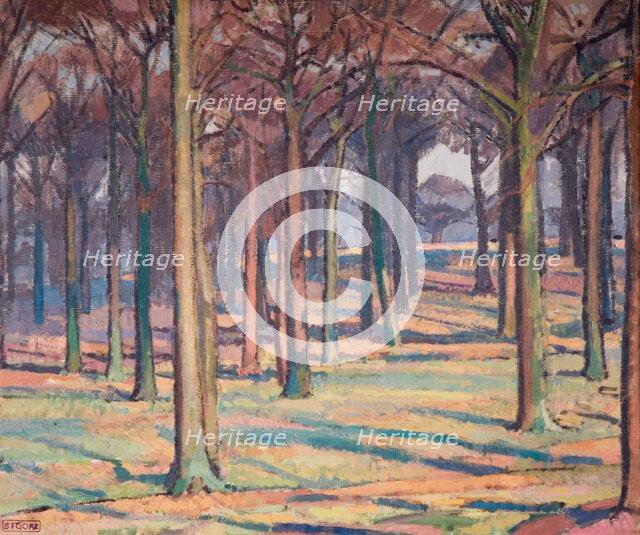 Wood in Richmond Park, 1914. Creator: Spencer Gore.