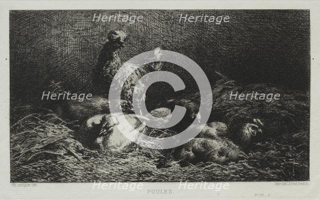 The Chickens. Creator: Charles-Émile Jacque (French, 1813-1894).