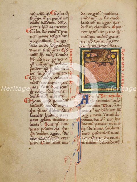 An Eagle Flying above Water; Bestiary, about 1270. Creator: Unknown.