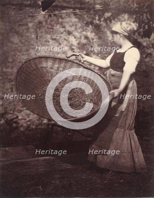 [Peasant Woman with Winnowing Basket], late 1870s. Creator: Unknown.