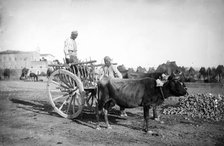 Cyprus, 1878. Creator: John Thomson.