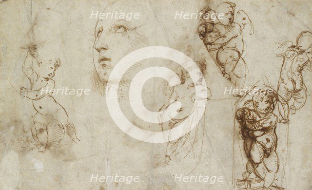 Various Studies, chiefly for the Borghese-Beckford St Catherine, early 16th century. Artist: Raphael.