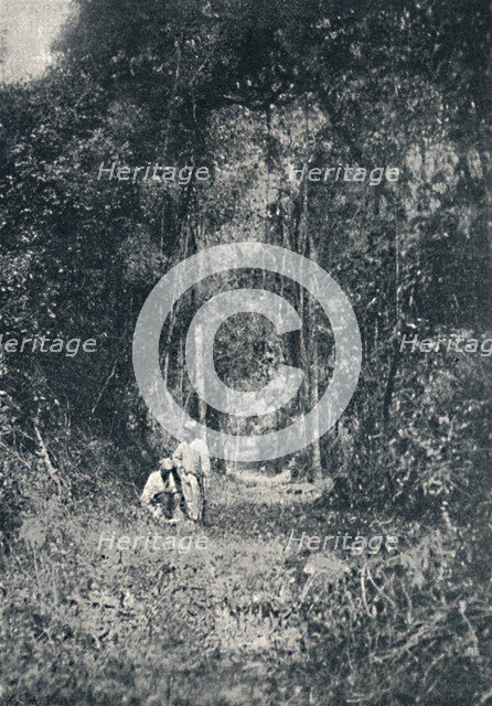 'Estrada de Rodagem do Alto Parana', 1895. Artist: Francisco Henszler.