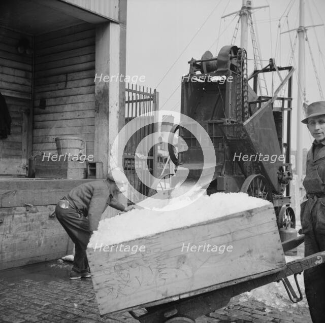 Ice used to store fish in ships, New York, 1943. Creator: Gordon Parks.