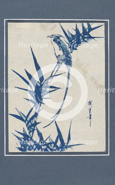 Ukiyo-e print - Bird on a branch in blue, c1820-1858. Artist: Ando Hiroshige.