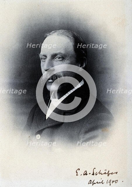 Sir Edward Albert Sharpey-Schafer, 1900. Creator: Unknown.