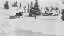 Transportation by horses and sleighs, 1921. Creator: Unknown.