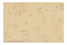 Sketches of Various Animals and Head (recto), Sketches of a Head, Figure in Profile, An..., 1891/93. Creator: Paul Gauguin.