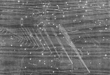 Path of the new comet from its discovery on June 30 to August 9, 1861. Creator: Unknown.