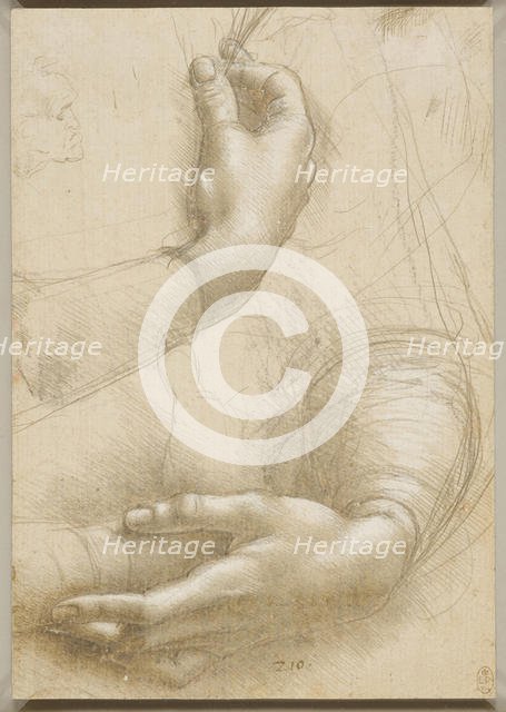 Arms and female hands, c. 1480. Creator: Leonardo da Vinci (1452-1519).