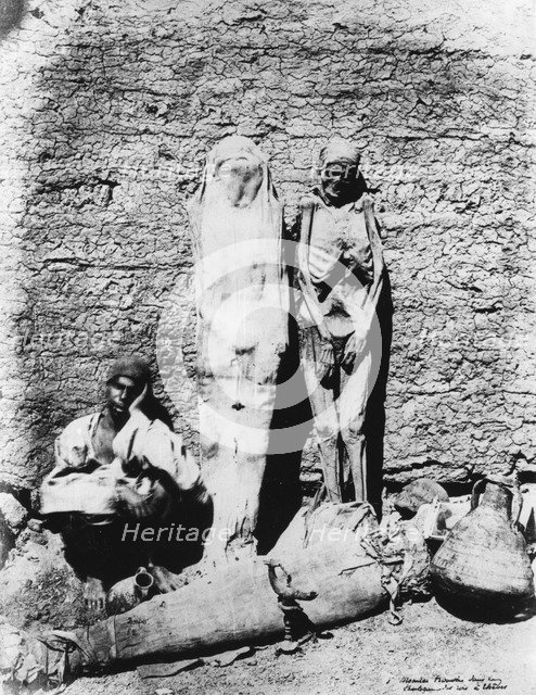 Photograph of mummies, 1860. Artist: Unknown