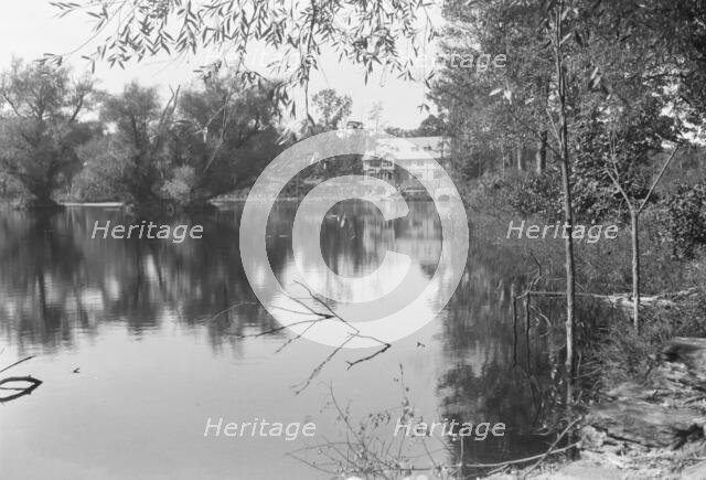 Seton Thompson estate, 1918 Creator: Arnold Genthe.