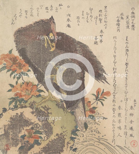 Eagle on a Rock; Flowering Azaleas, ca. 1800. Creator: Kubo Shunman.