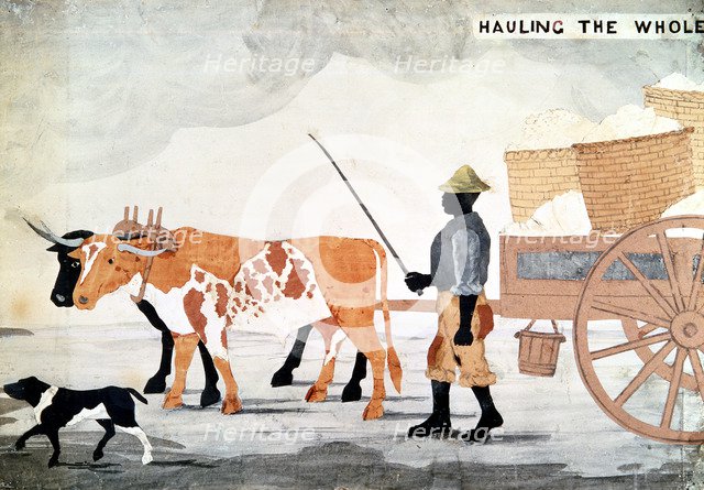 A slave with an ox-cart containing the week's cotton pickings, New Orleans, USA. Artist: Anon