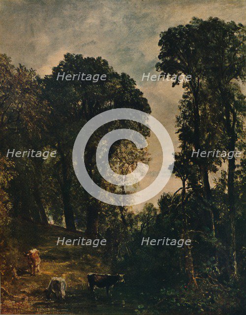 'Trees Near Hampstead Church', 1829, (c1915). Artist: John Constable.