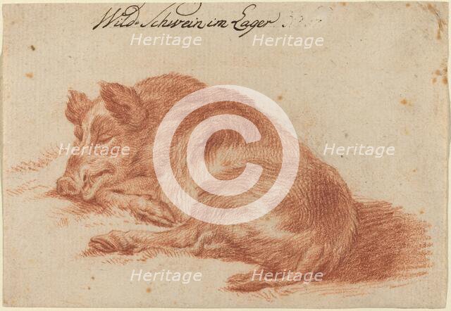 Wild Boar, 18th century. Creator: Unknown.