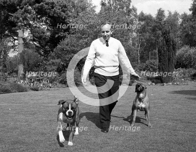 John Surtees playing with his pet dogs at home 1966. Creator: Unknown.