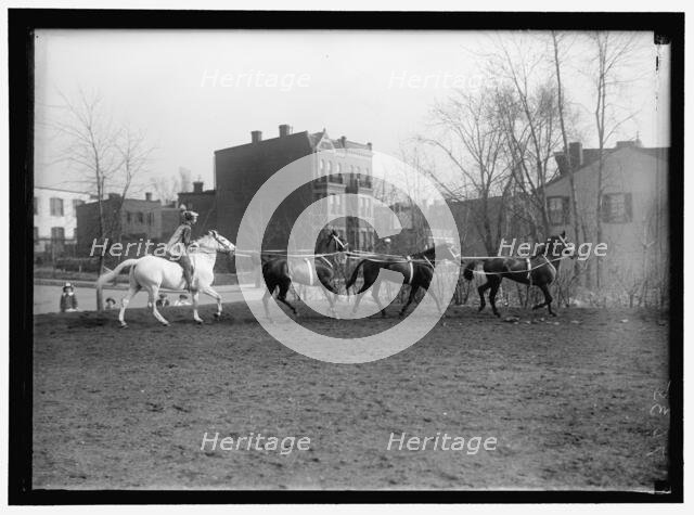 Society Circus, between 1910 and 1917. Creator: Harris & Ewing.