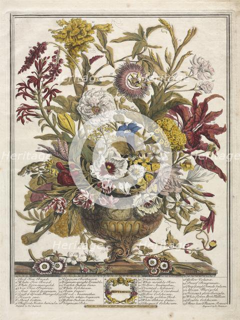 Twelve Months of Flowers: September, 1730. Creator: Henry Fletcher (British, active 1715-38).