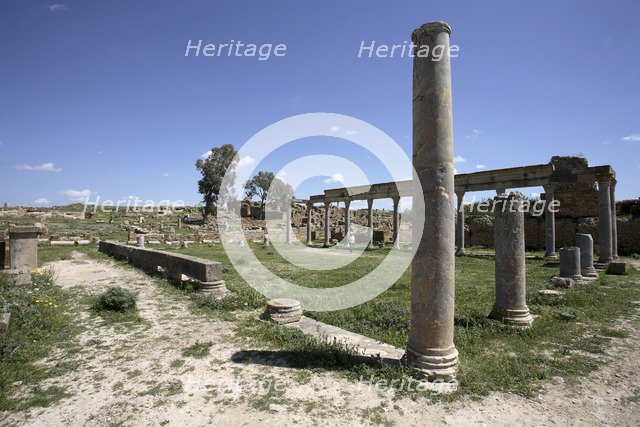 The Palaestra of Petronii, Thuburbo Majus, Tunisia. Artist: Samuel Magal