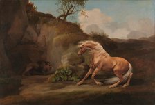 Horse Frightened by a Lion, between 1762 and 1768. Creator: George Stubbs.