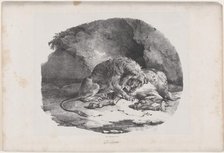 A Horse Being Eaten by a Lion, 1823. Creator: Theodore Gericault.