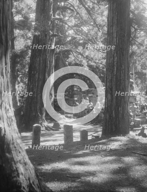 Travel views of Japan and Korea, 1908. Creator: Arnold Genthe.