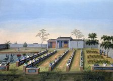 Nursery garden, China, c1820-1840. Artist: Unknown