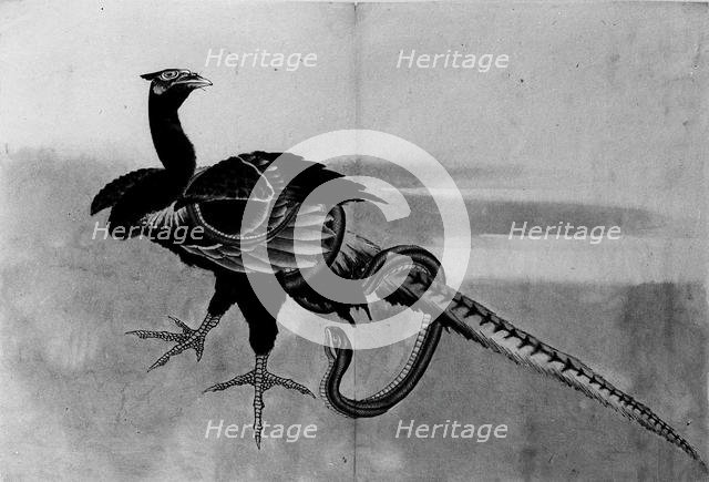 Pheasant and Snake, 18th-19th century. Creator: School of Katsushika Hokusai.