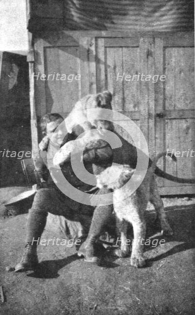 ''Combat Aerien; Deux "poilus" de l'air; Lufbery et ses lionceaux "Wisky" et "Soda" avec..., 1918. Creator: Unknown.