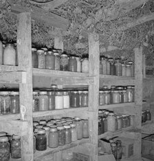 Mrs. Wardlow has 500 quarts of food in her dugout cellar, Dead Ox Flat, Malheur County, Oregon, 1939 Creator: Dorothea Lange.