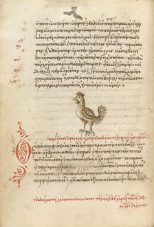 A Hen, 1510-1520. Creator: Unknown.