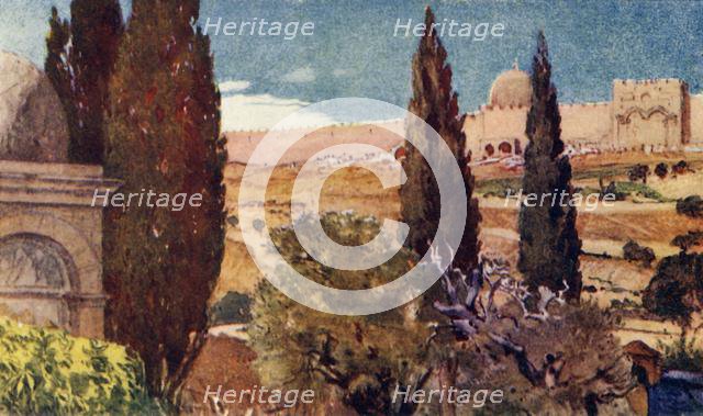 'The Cypresses of the Garden of Gethsemane', 1902. Creator: John Fulleylove.