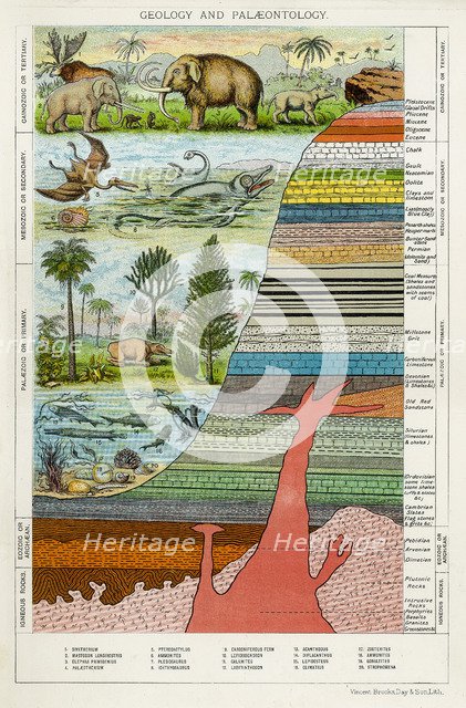 'Geology and Palaeontology', c1880. Artist: Unknown