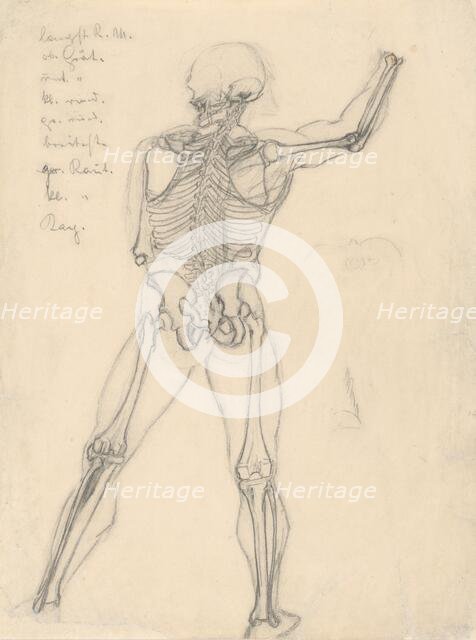 Study of a skeleton, 1880-1904. Creator: Janos Fadrusz.