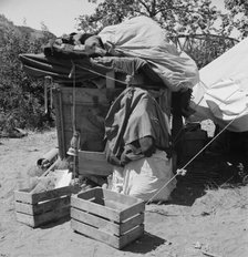 Camp of migratory family from Texas, Washington, Yakima Valley, 1939. Creator: Dorothea Lange.