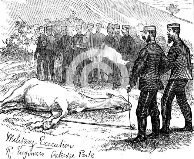 The Autumn Campaign on Cannock Chase, 1873. Creator: Unknown.