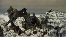 Capercaillies in a Winter Landscape, 1899. Creator: Bruno Liljefors.