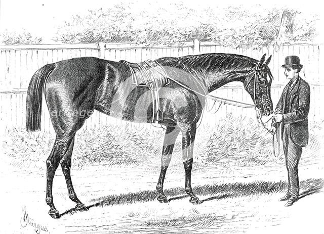 Apology, the Winner of the Gold Cup at Ascot, 1876. Creator: John Sturgess.