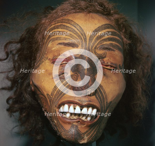 Mummified head of a Maori Chief. Artist: Unknown