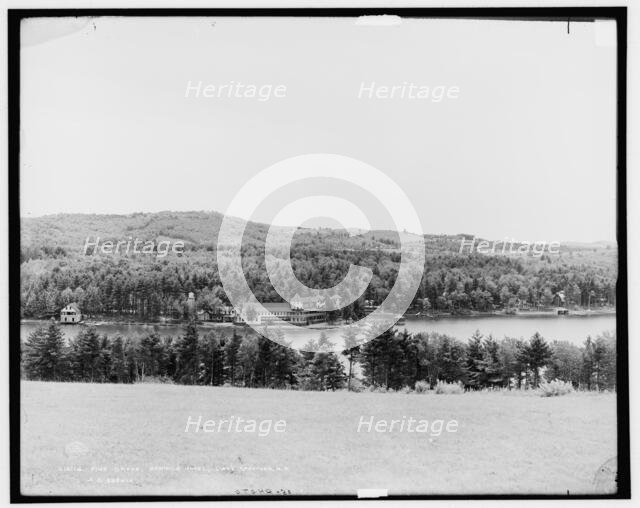 Pine Grove Springs Hotel, Lake Spofford, N.H., c1905. Creator: Unknown.