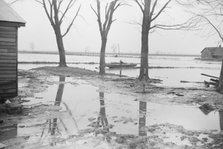 Farmyard covered with flood waters near Ridgeley, Tennessee, 1937. Creator: Walker Evans.
