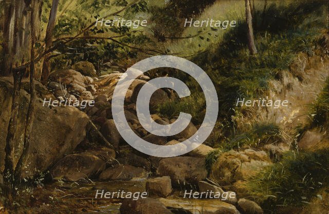 Brook, 1868. Creator: Berndt Lindholm.