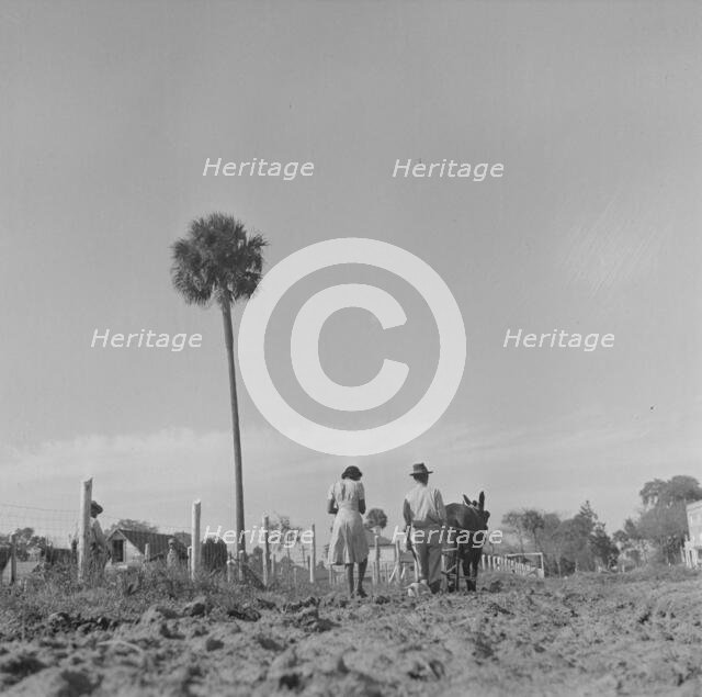 Bethune-Cookman College, Daytona Beach, Florida, 1943. Creator: Gordon Parks.