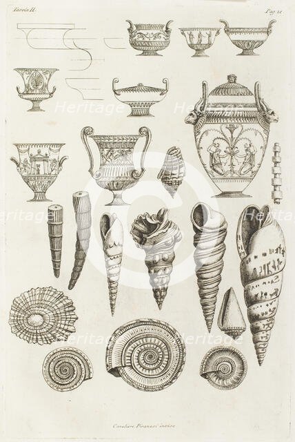 Different shells thought to inspire the forms of Etruscan vases, 1769.  Creator: Giovanni Battista Piranesi.