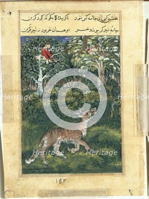 Page from Tales of a Parrot (Tuti-nama): Thirty-first night: The donkey, in a tiger’s skin..., 1558- Creator: Basavana (Indian, active c. 1560-1600), attributed to.