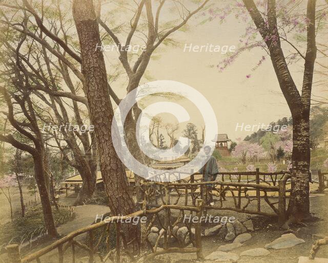 Public Garden, 1865. Creator: Unknown.