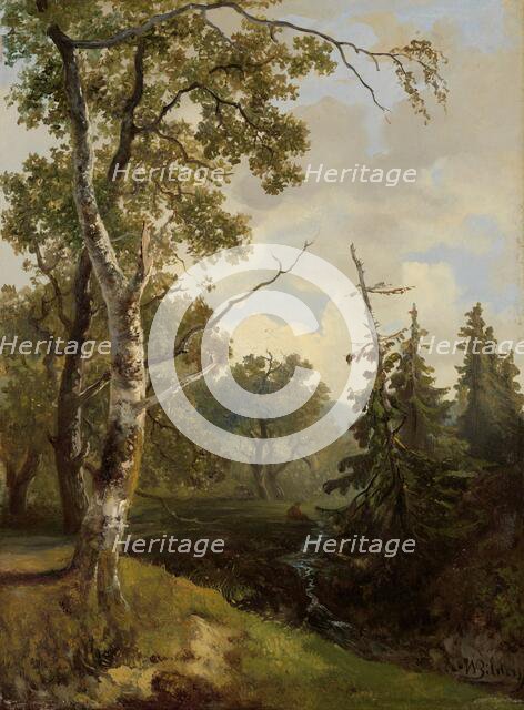 Forest view at Wolfheze, 1860-1890.  Creator: Johannes Warnardus Bilders.