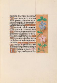 Hours of Queen Isabella the Catholic, Queen of Spain: Fol. 62r, c. 1500. Creator: Master of the First Prayerbook of Maximillian (Flemish, c. 1444-1519); Associates, and.