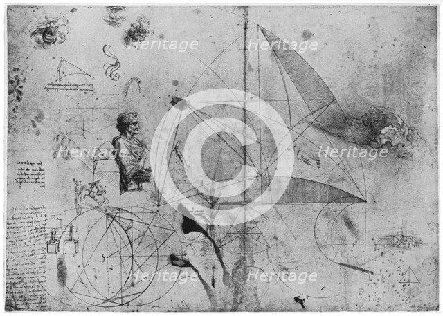 Sheet of studies, late 15th or early 16th century (1954).Artist: Leonardo da Vinci